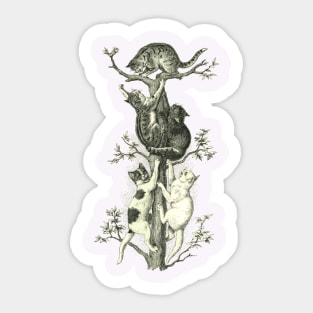 CAT UP THE TREE Sticker